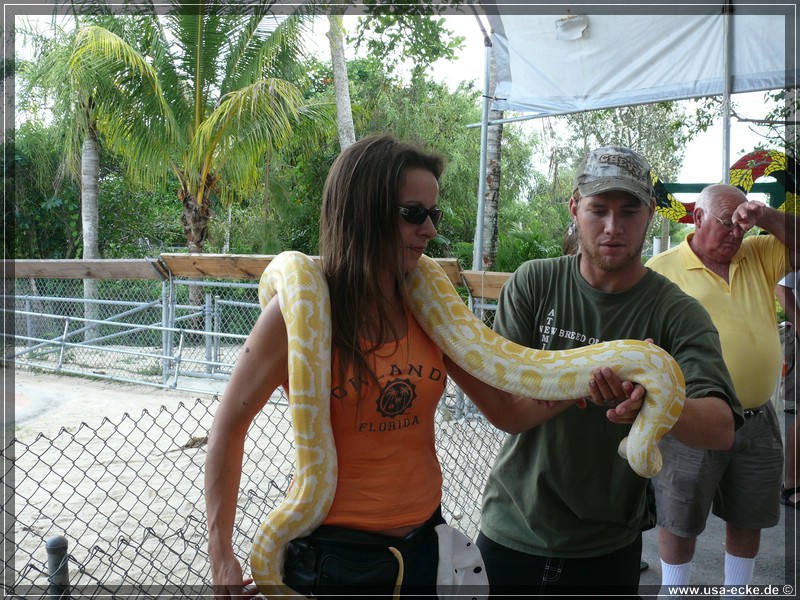 alligator_farm2009_033