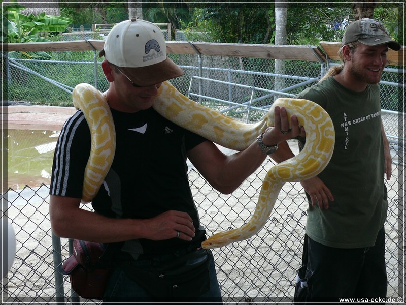 alligator_farm2009_034