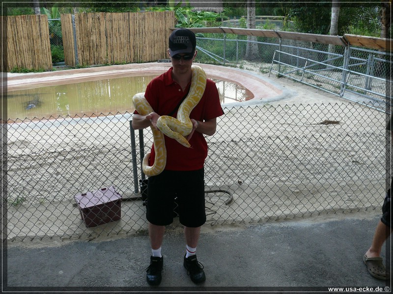 alligator_farm2009_035