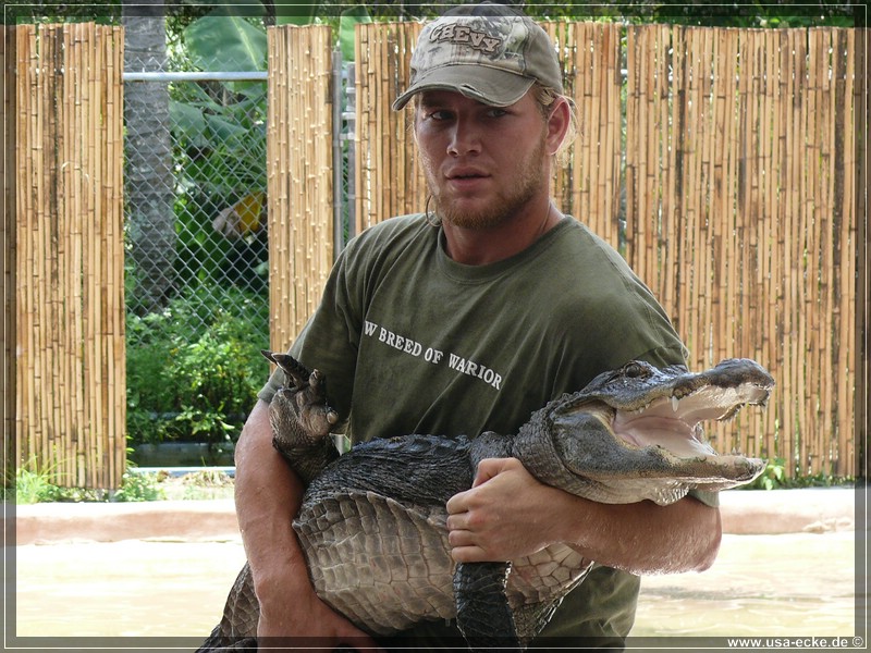 alligator_farm2009_039