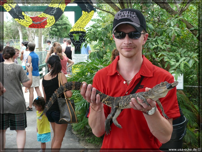 alligator_farm2009_040