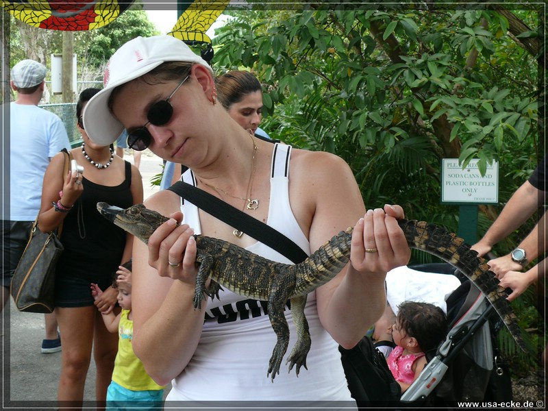 alligator_farm2009_041