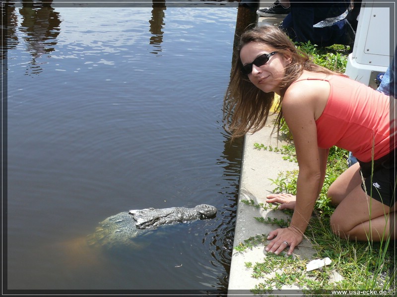 everglades_09_12_007