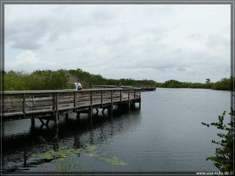 everglades_09_12_017