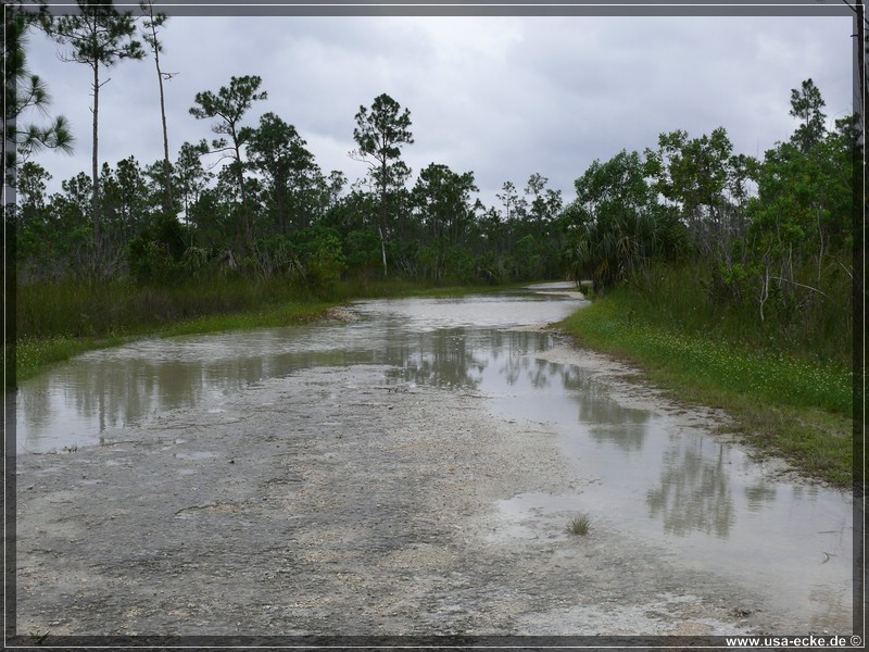 everglades_09_12_022