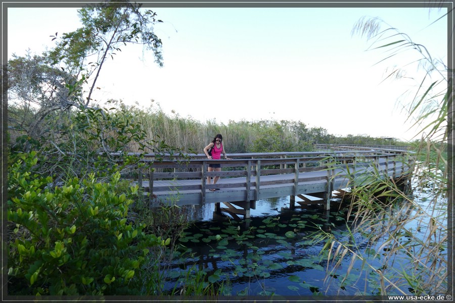 EvergladesNP2019_012