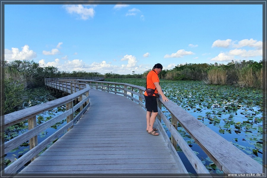 EvergladesNP2019_019