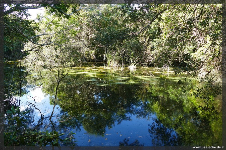 Everglades2022_025