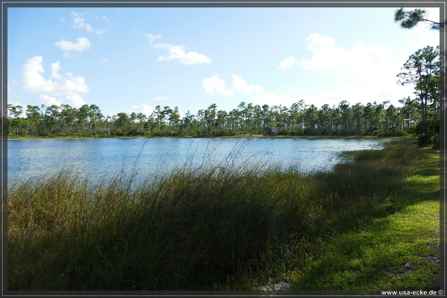 Everglades2022_034