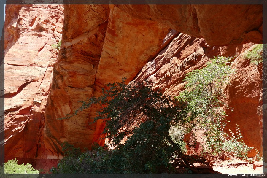 FayCanyonArch_2023_025