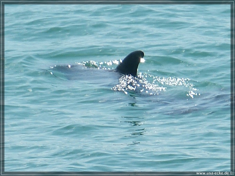 fort_walton_beach_02