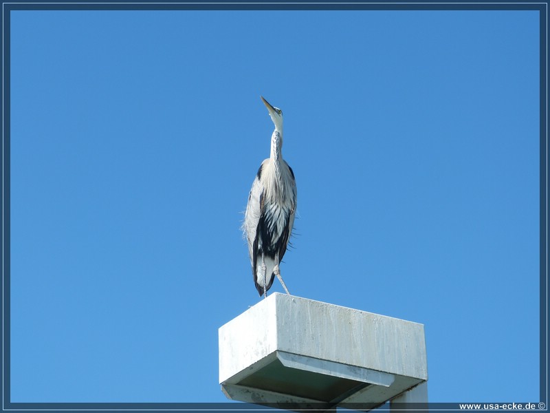 fort_walton_beach_03