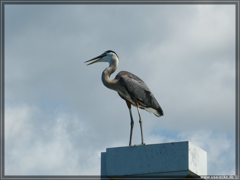 fort_walton_beach_10