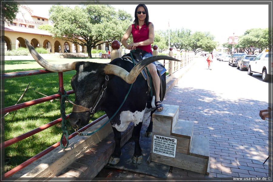 FortWorth2016_015