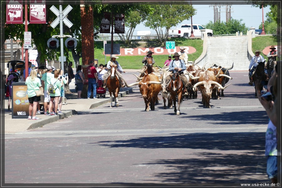 FortWorth2016_023