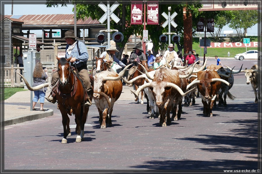 FortWorth2016_024