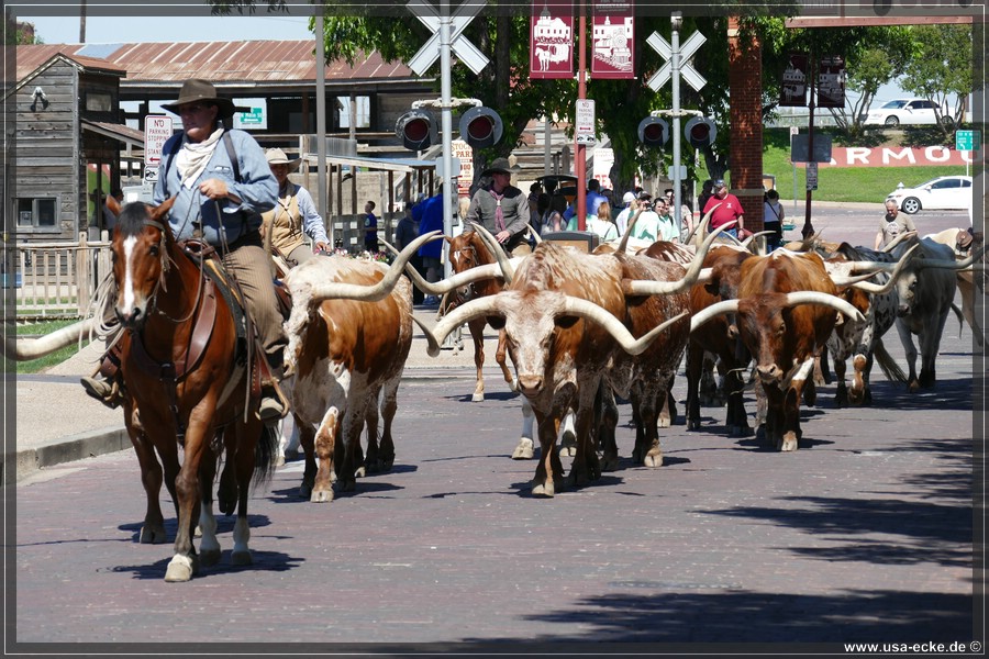 FortWorth2016_025