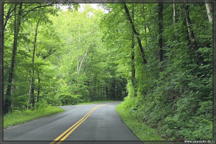GSMNP_CadesCove_2026_004