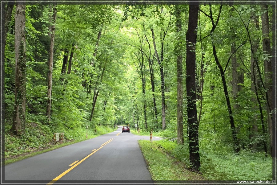 GSMNP_CadesCove_2026_006
