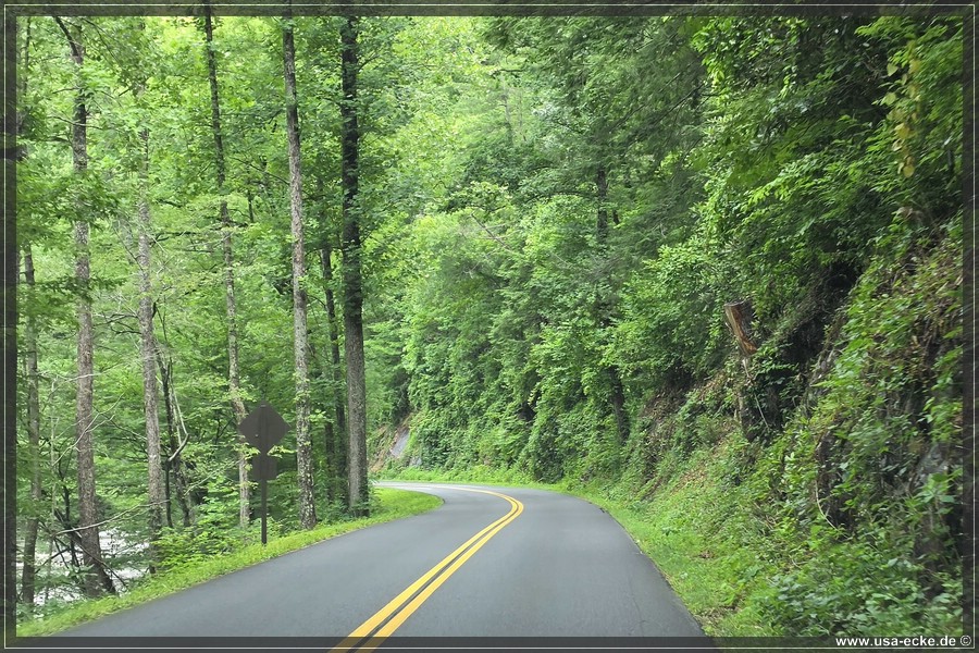 GSMNP_CadesCove_2026_007
