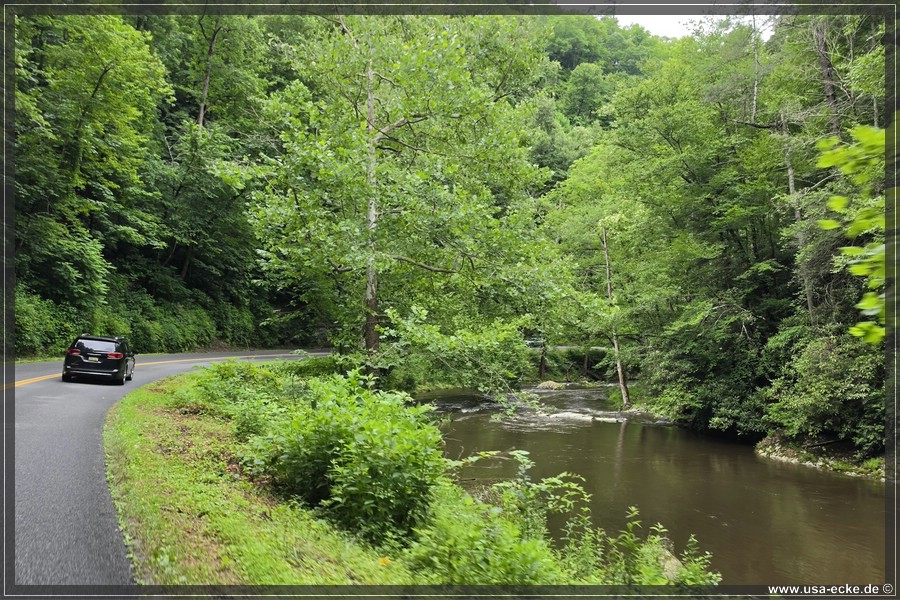 GSMNP_CadesCove_2026_009