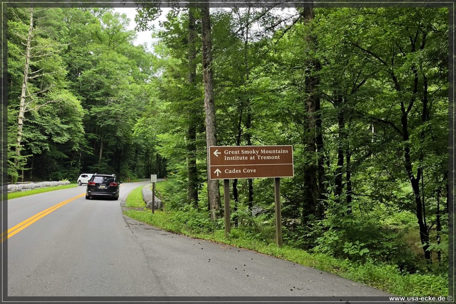 GSMNP_CadesCove_2026_011