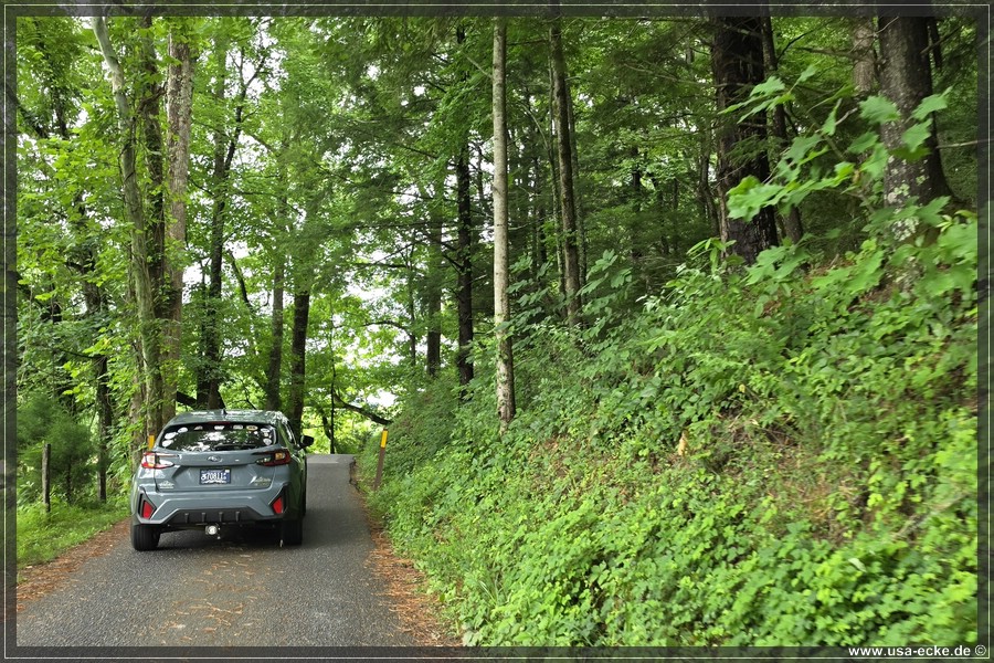 GSMNP_CadesCove_2026_015