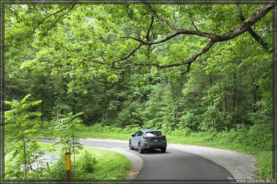 GSMNP_CadesCove_2026_016