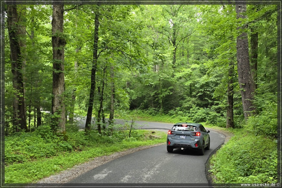 GSMNP_CadesCove_2026_017