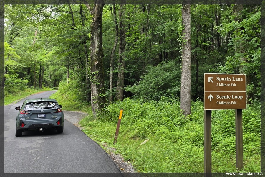 GSMNP_CadesCove_2026_018
