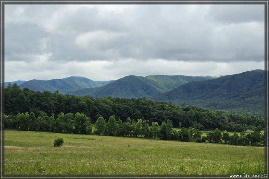 GSMNP_CadesCove_2026_021