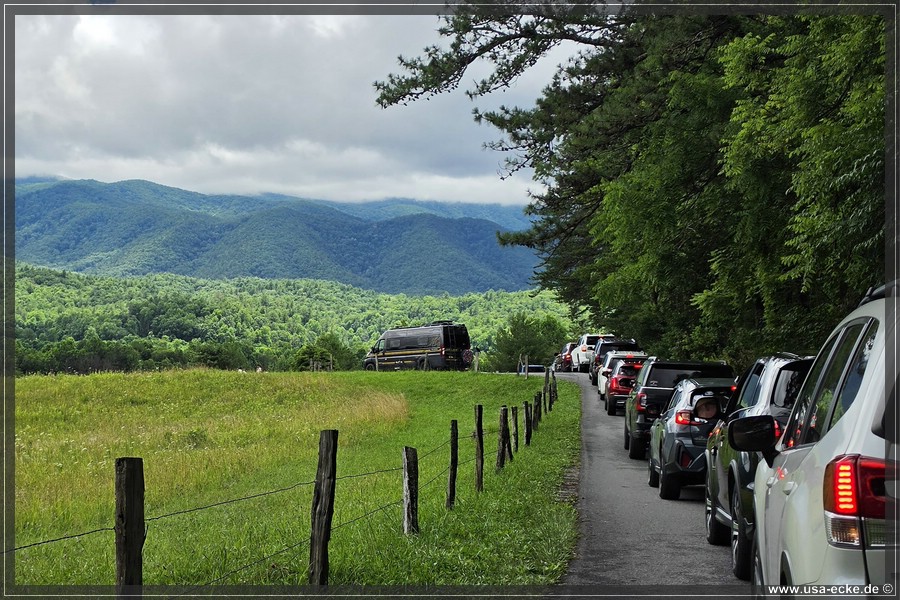 GSMNP_CadesCove_2026_022