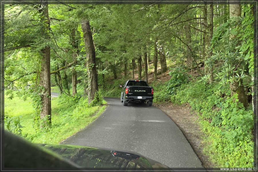 GSMNP_CadesCove_2026_045