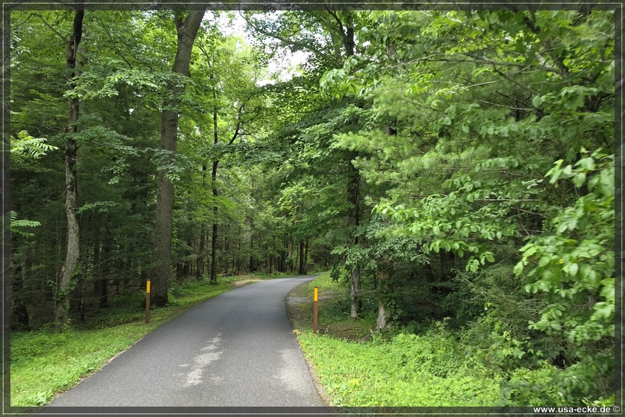 GSMNP_CadesCove_2026_047