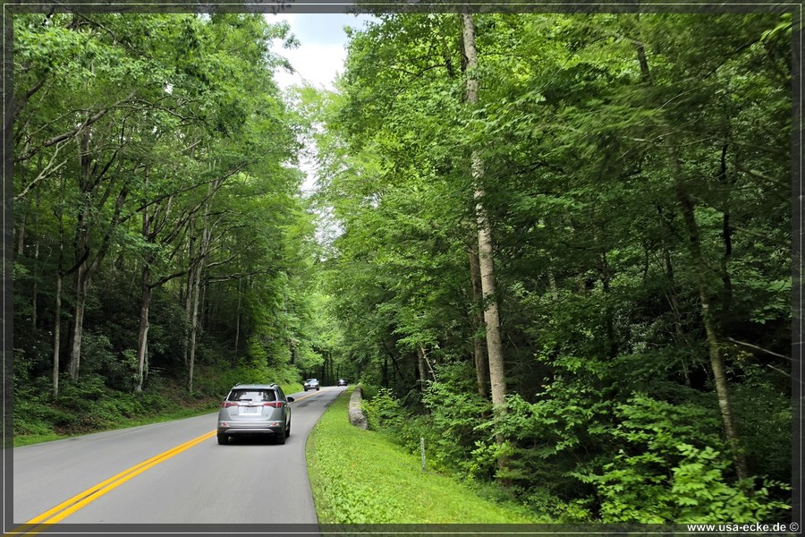 GSMNP_CadesCove_2026_048