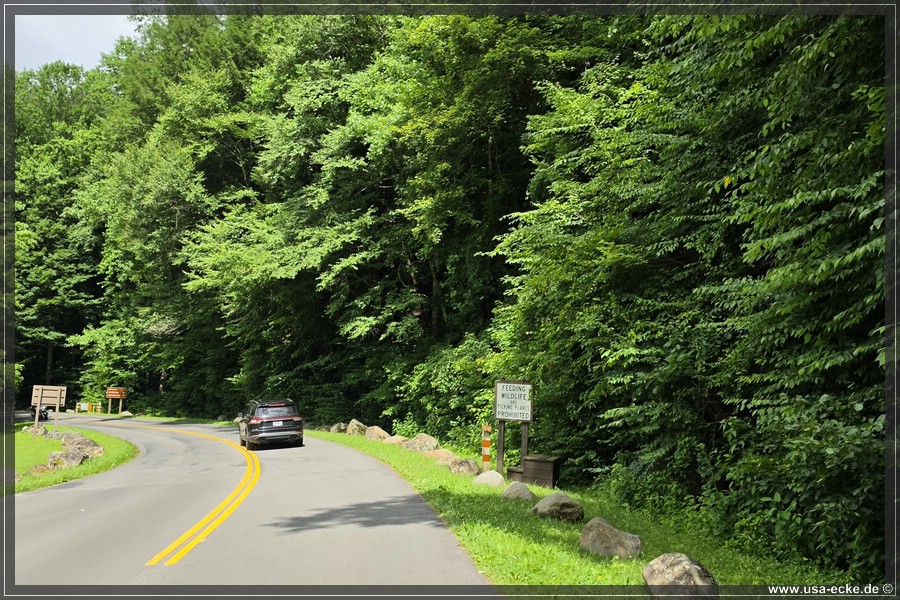 GSMNP_CadesCove_2026_049