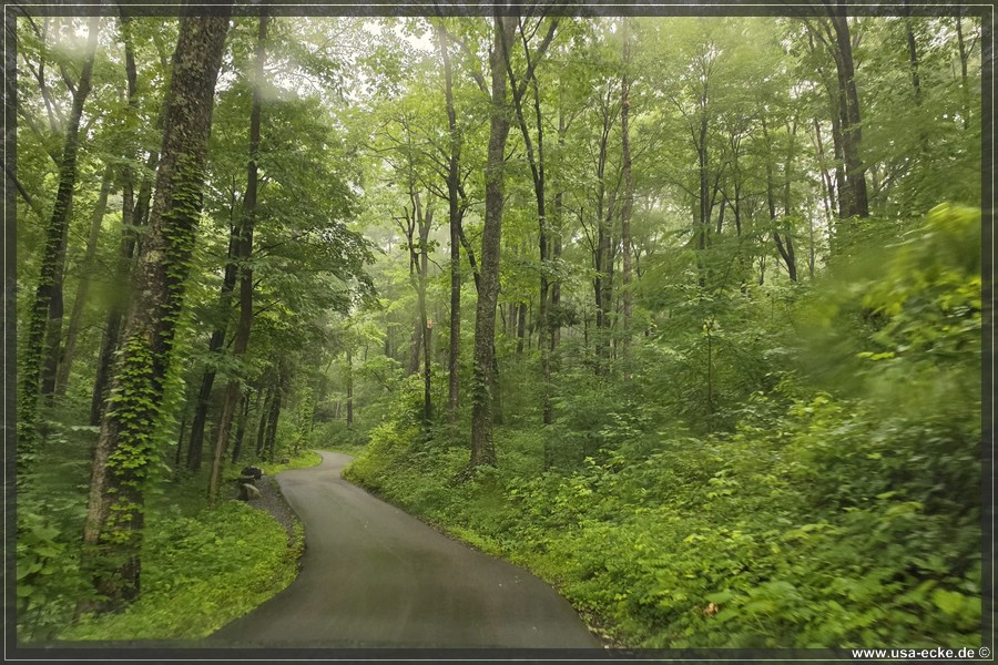 GSMNP_Cherokee_2026_002