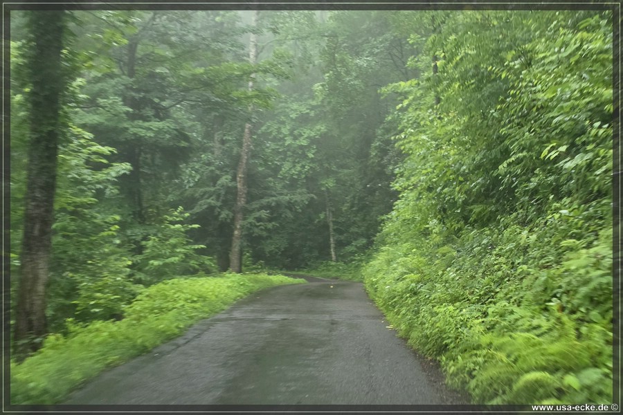 GSMNP_Cherokee_2026_004