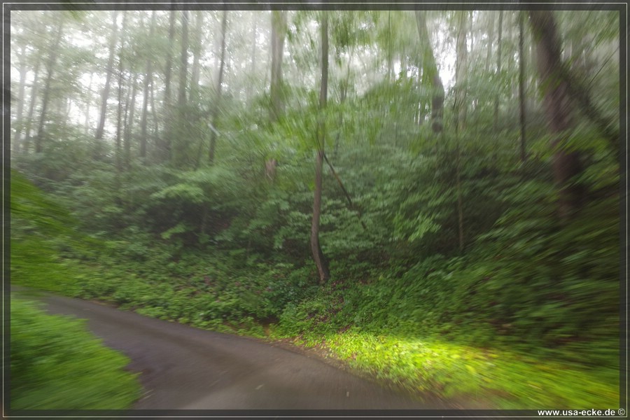 GSMNP_Cherokee_2026_005
