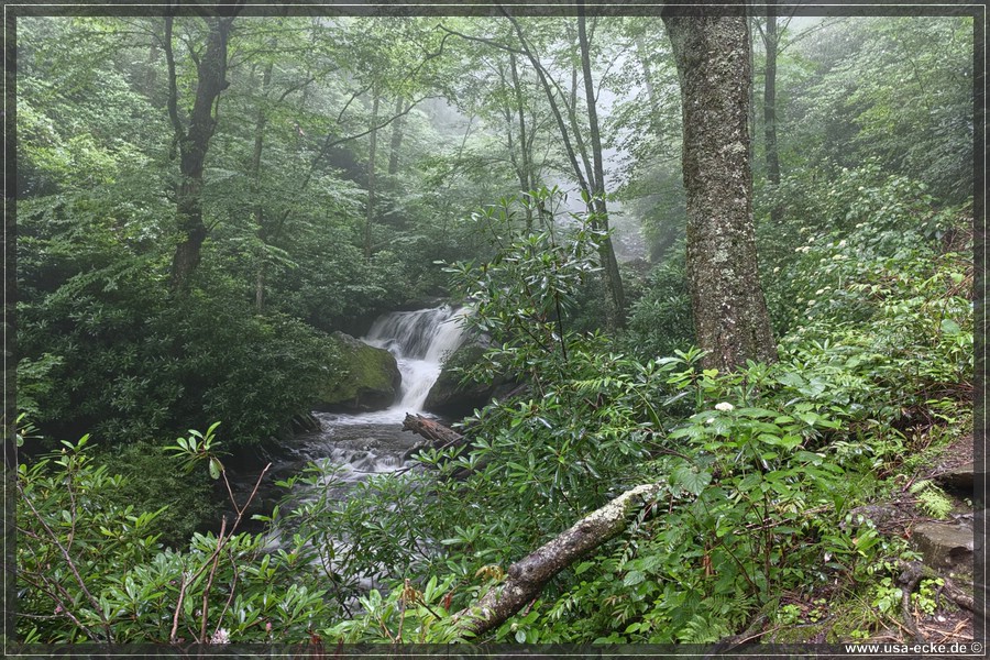 GSMNP_Cherokee_2026_007