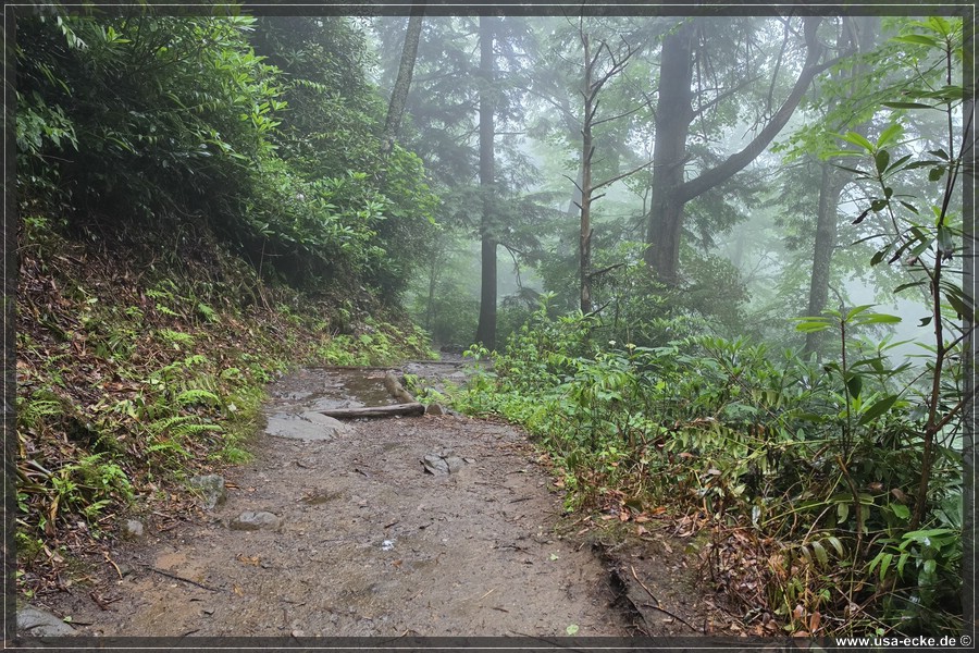GSMNP_Cherokee_2026_008