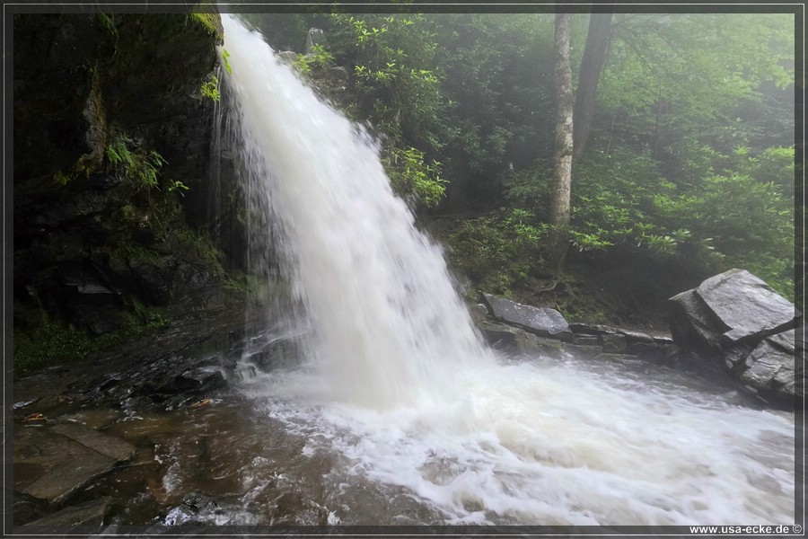 GSMNP_Cherokee_2026_010