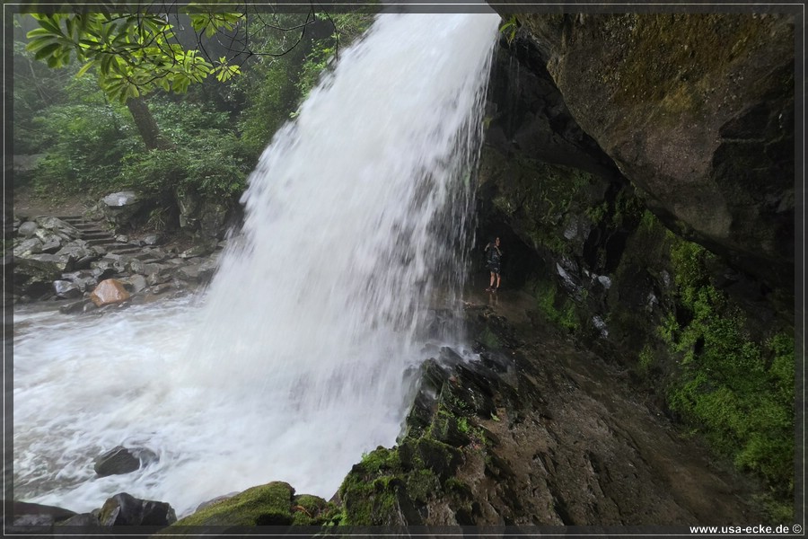 GSMNP_Cherokee_2026_014