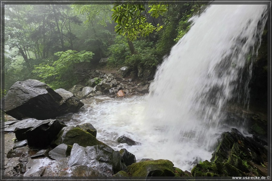 GSMNP_Cherokee_2026_016