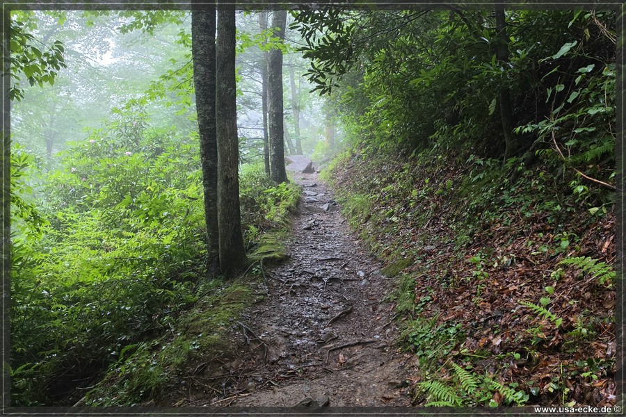 GSMNP_Cherokee_2026_017