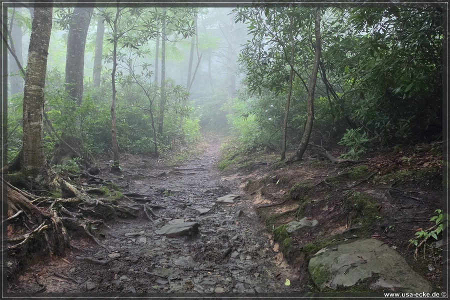 GSMNP_Cherokee_2026_018