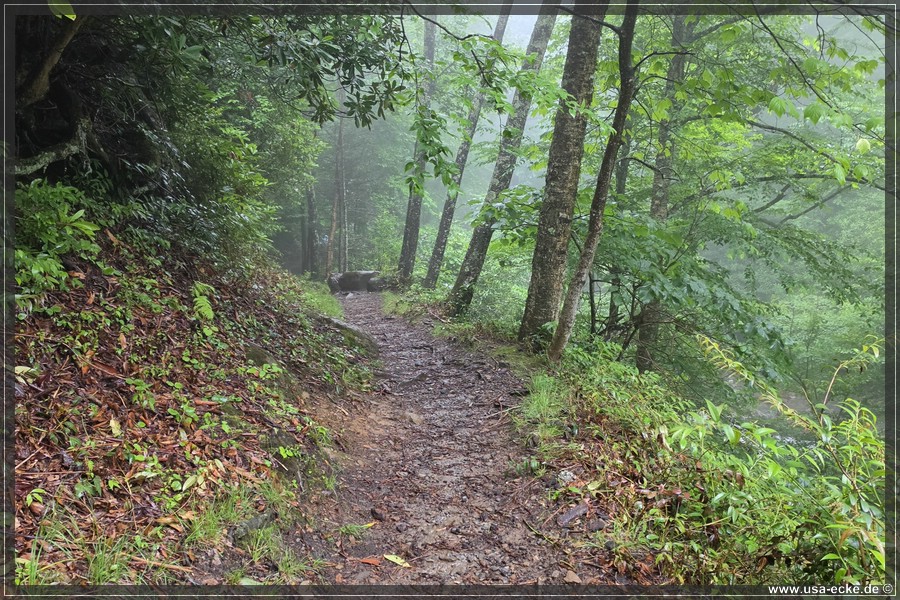 GSMNP_Cherokee_2026_019