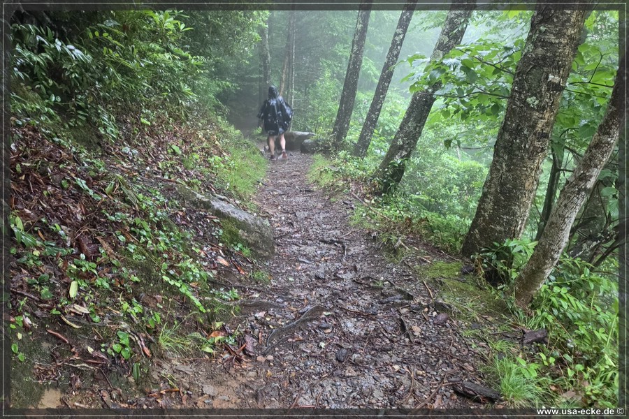 GSMNP_Cherokee_2026_020