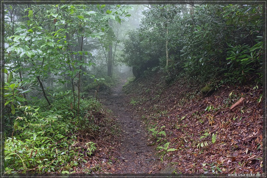 GSMNP_Cherokee_2026_021