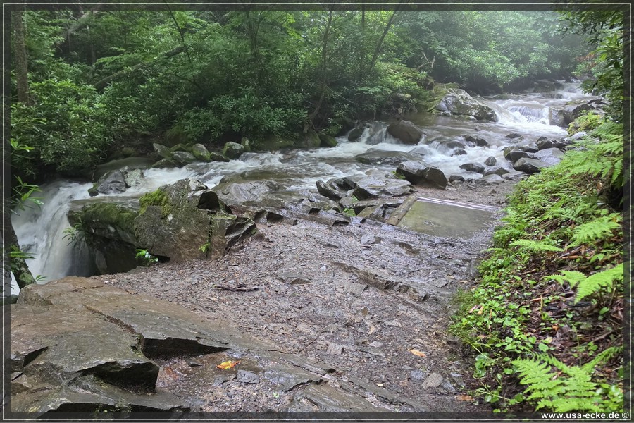 GSMNP_Cherokee_2026_022